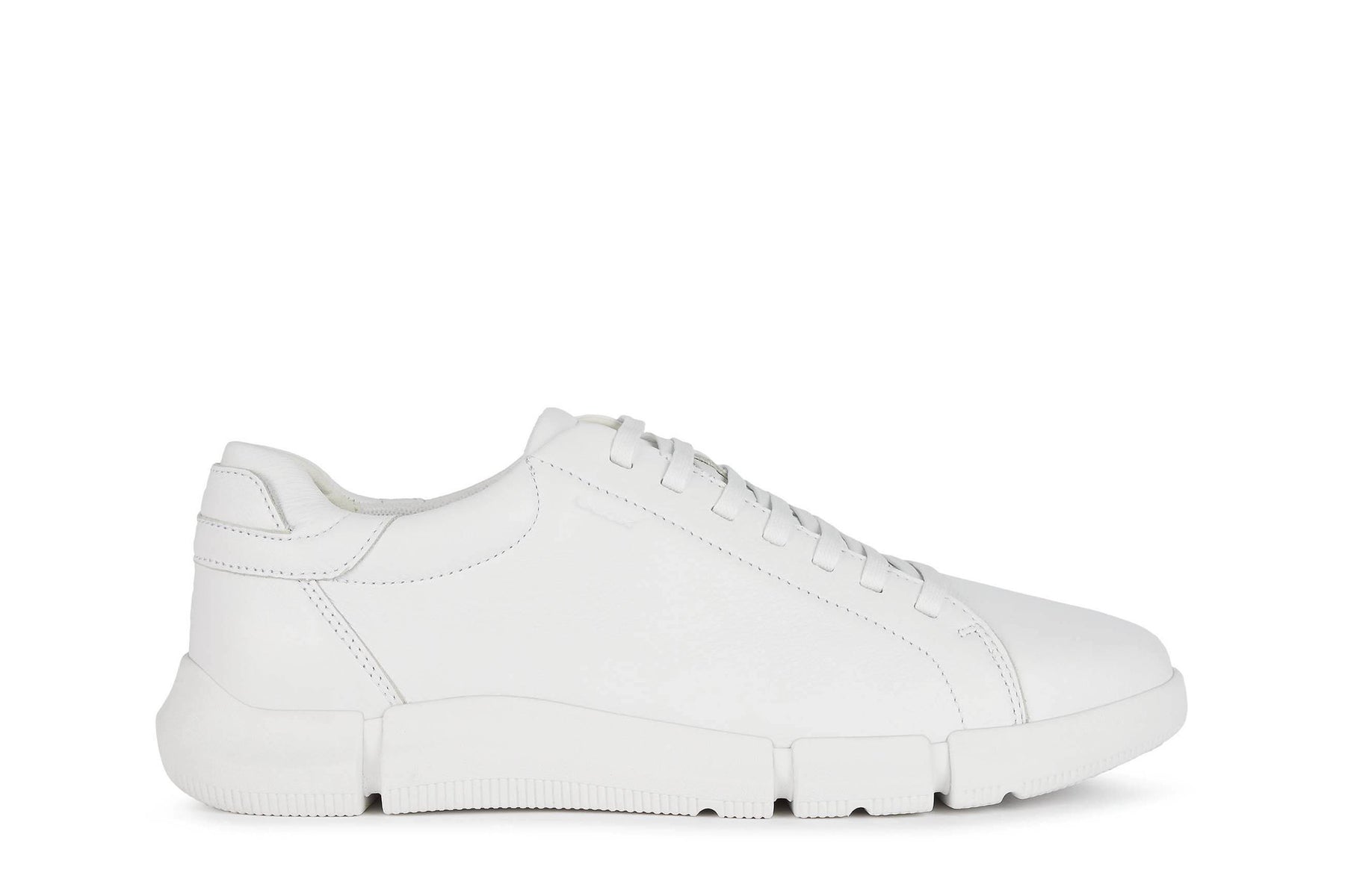 Basket cuir GEOX Homme blanc Chaussures Grassler